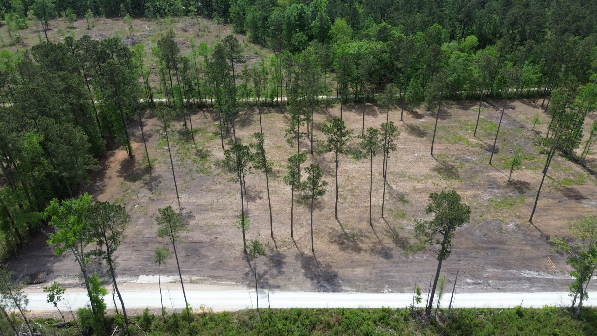 4 Highway 27 Photo 14