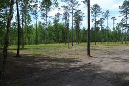 4 Highway 27 photo 4