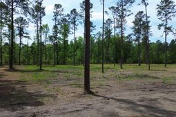 4 Highway 27 photo 4