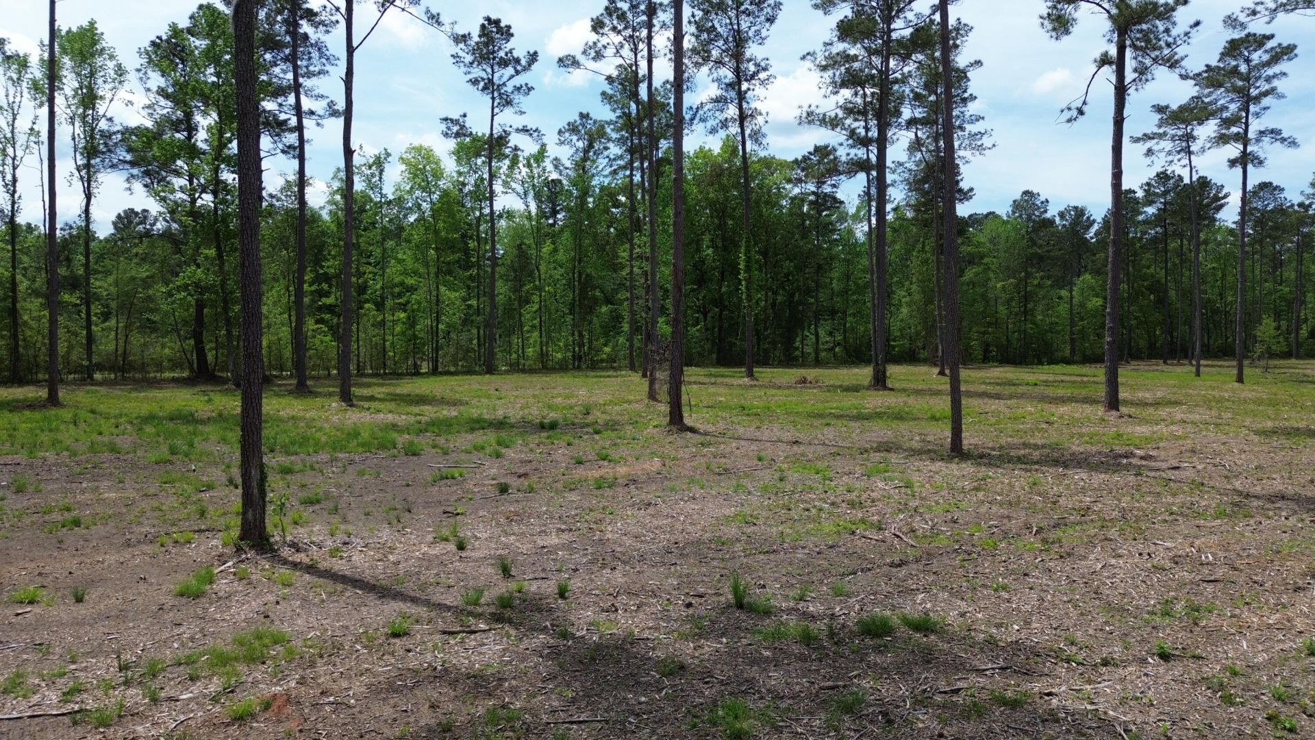 4 Highway 27 Photo 4