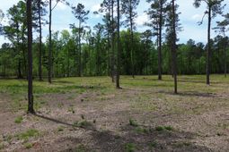 4 Highway 27 photo 4