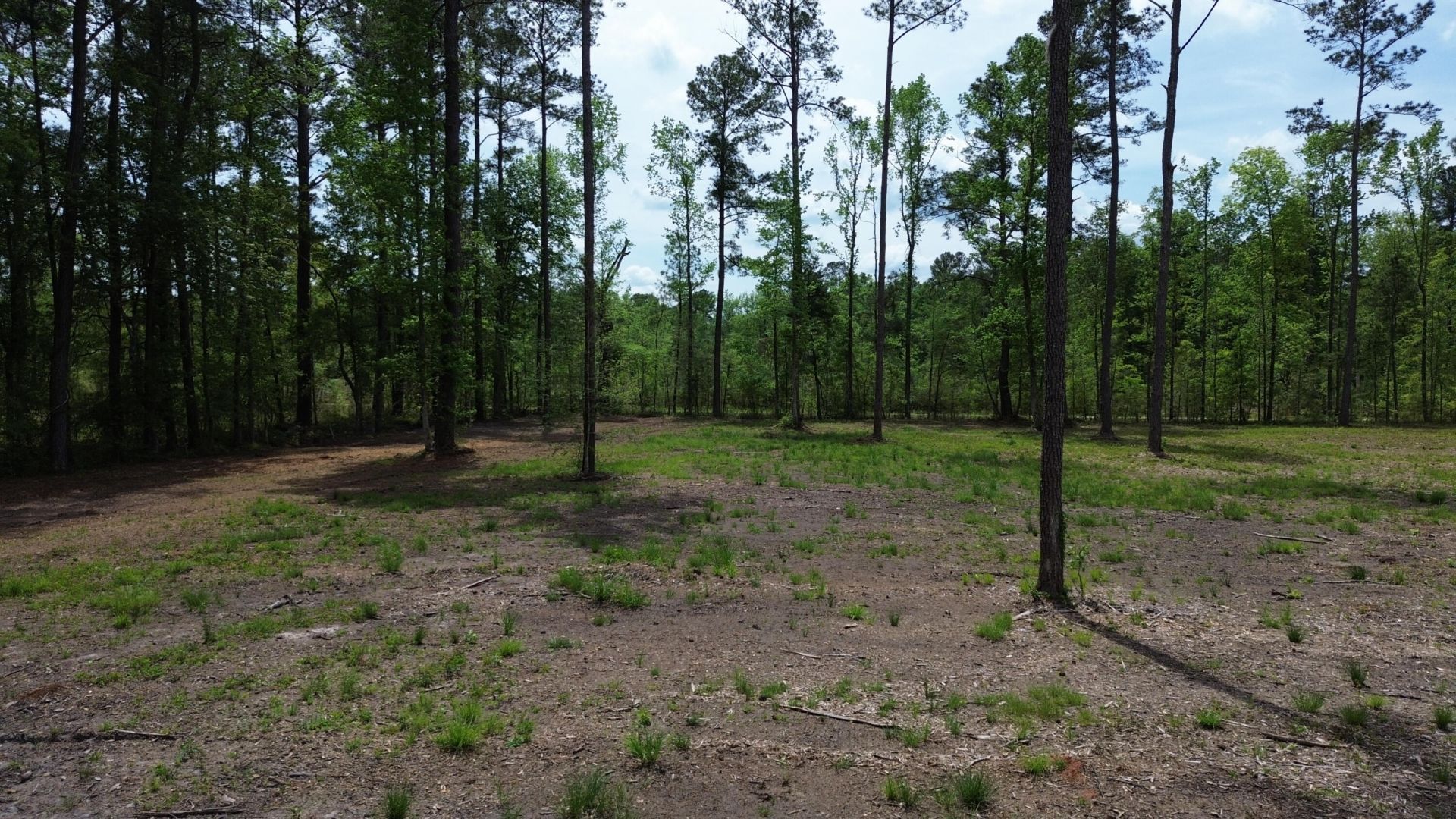 4 Highway 27 Photo 5