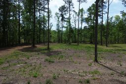 4 Highway 27 photo 4