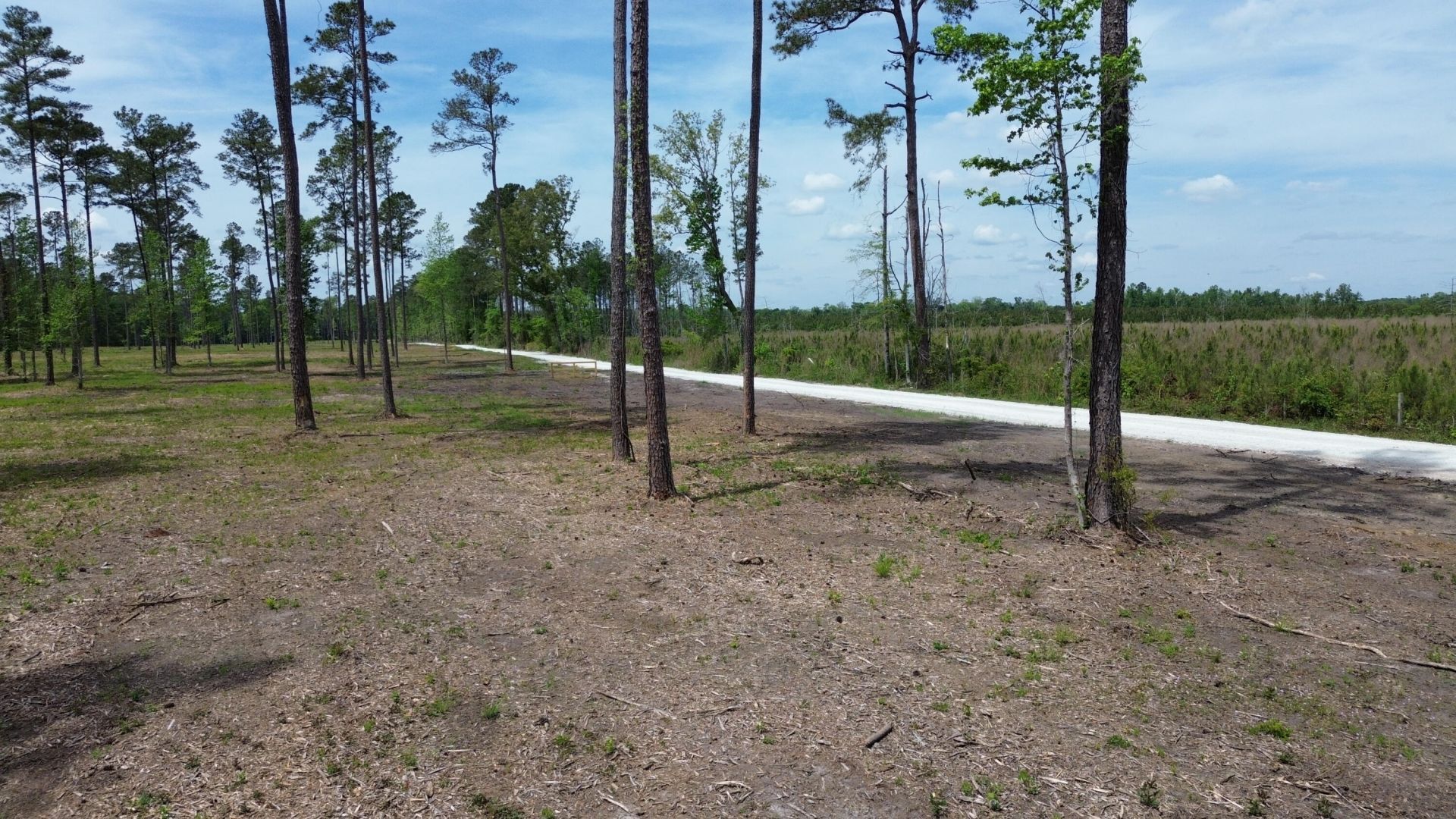 4 Highway 27 Photo 6