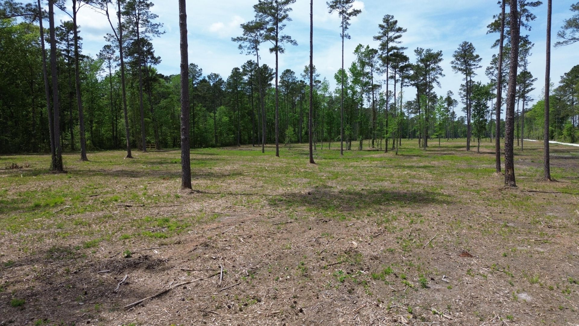 4 Highway 27 Photo 7