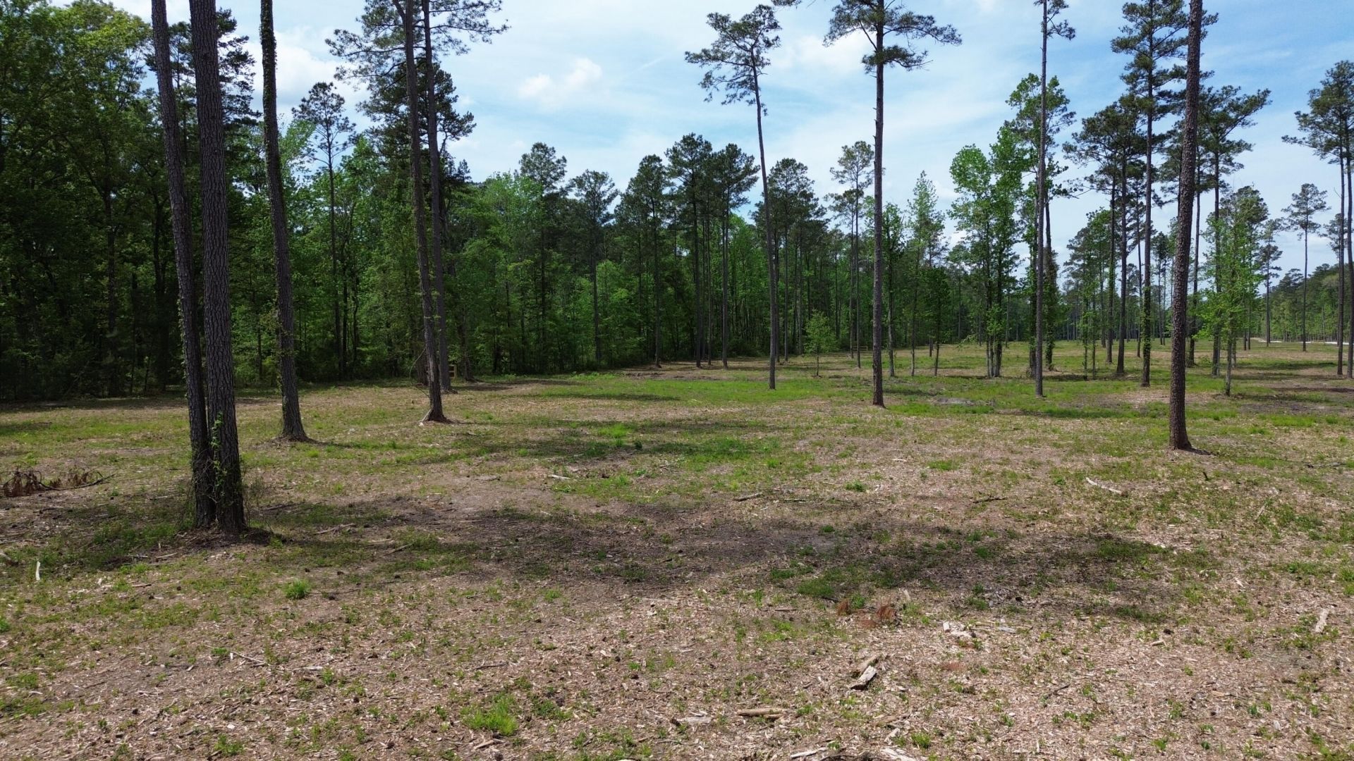 4 Highway 27 Photo 8