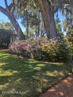 13200 Mandarin Road, Jacksonville, FL 32223 Photo