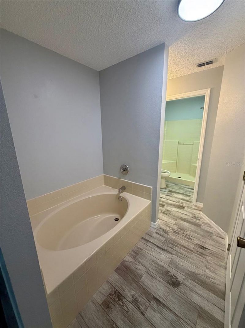 251 Rhapsody Lane, Apopka, FL 32703 Photo