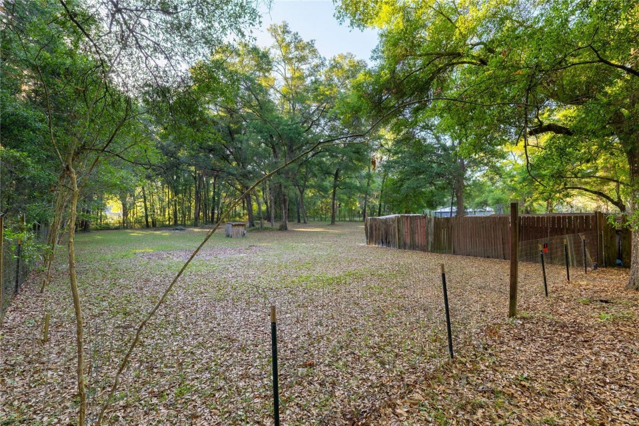 2731 NE 165th Terrace , Williston, FL 32696 Photo