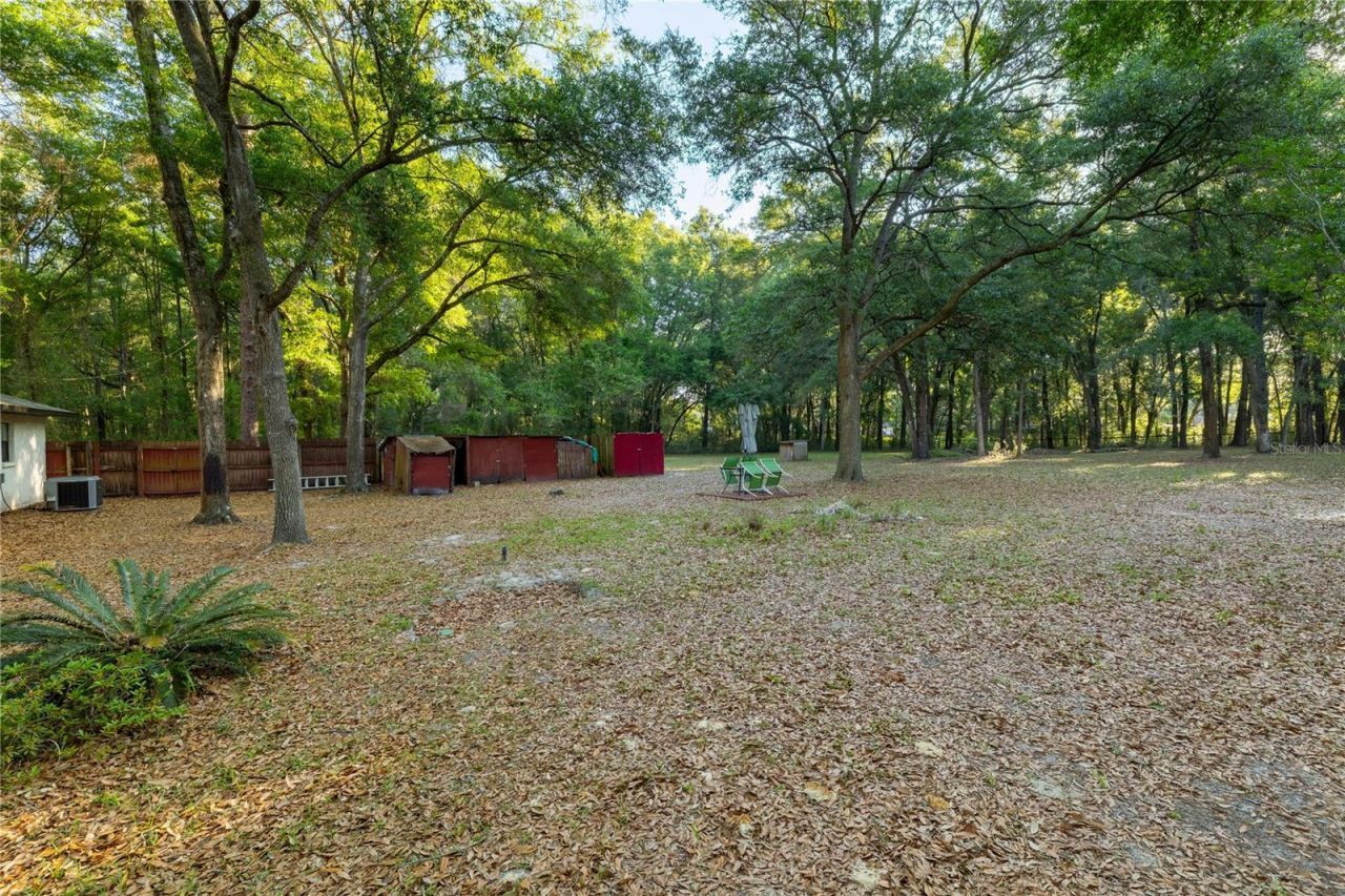 2731 NE 165th Terrace , Williston, FL 32696 Photo