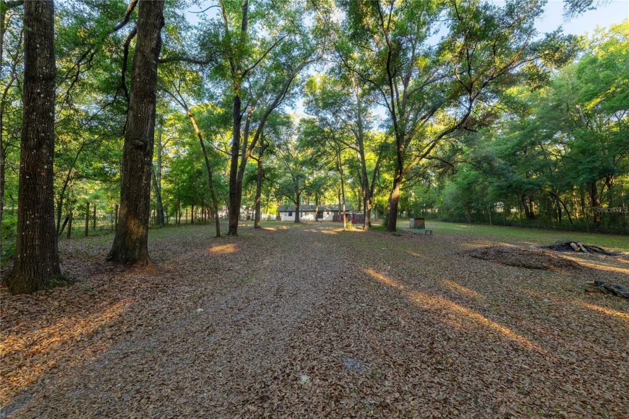 2731 NE 165th Terrace , Williston, FL 32696 Photo