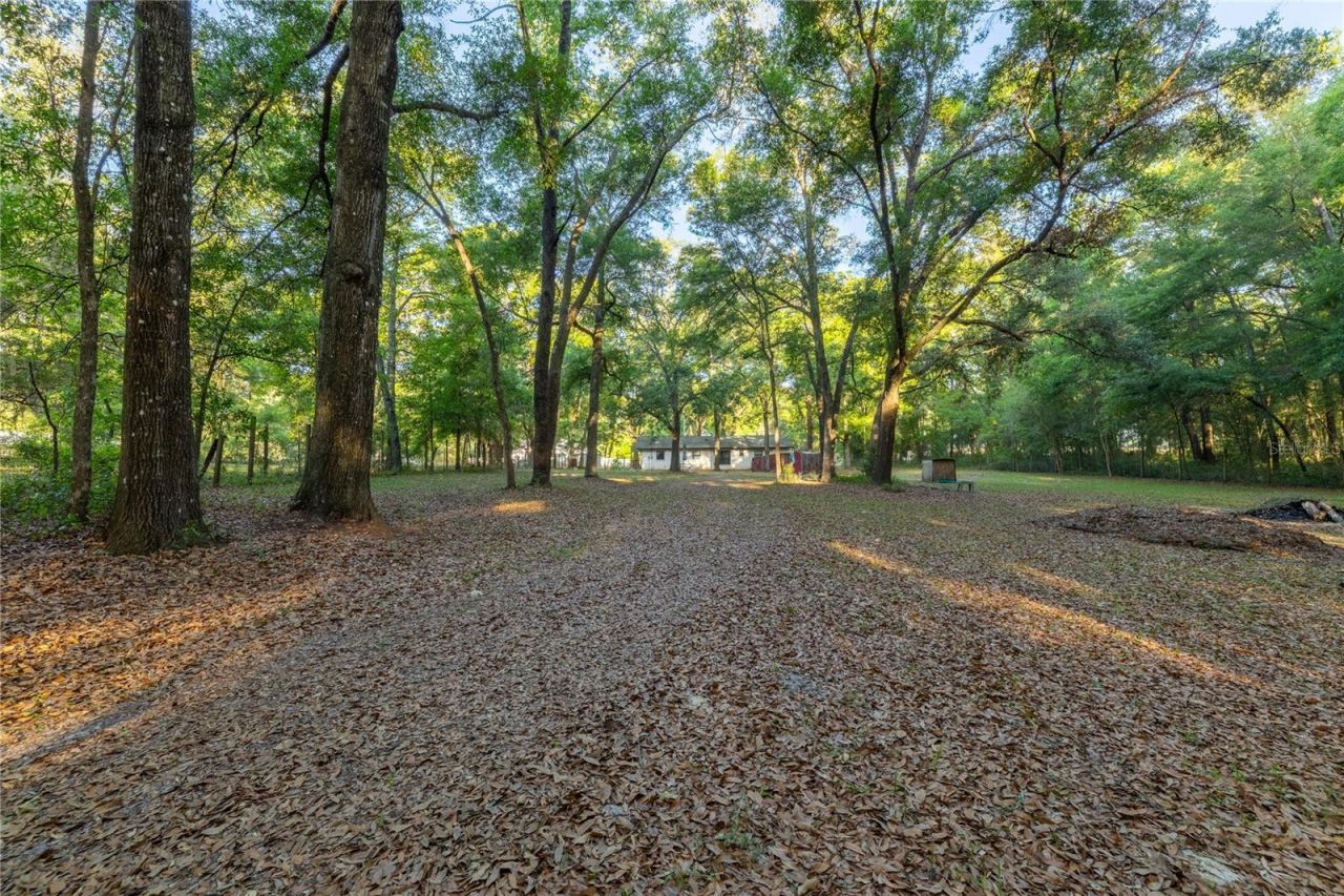 2731 NE 165th Terrace , Williston, FL 32696 Photo