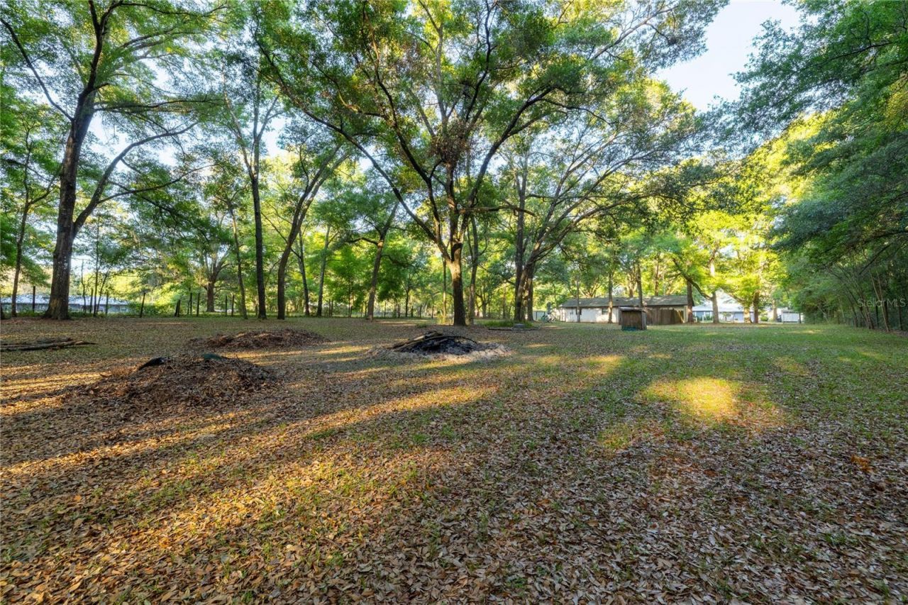 2731 NE 165th Terrace , Williston, FL 32696 Photo