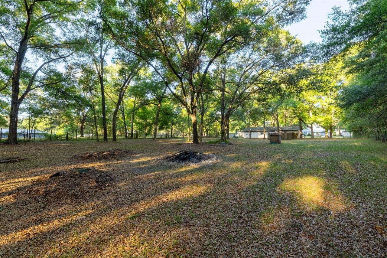 2731 NE 165th Terrace , Williston, FL 32696 Photo