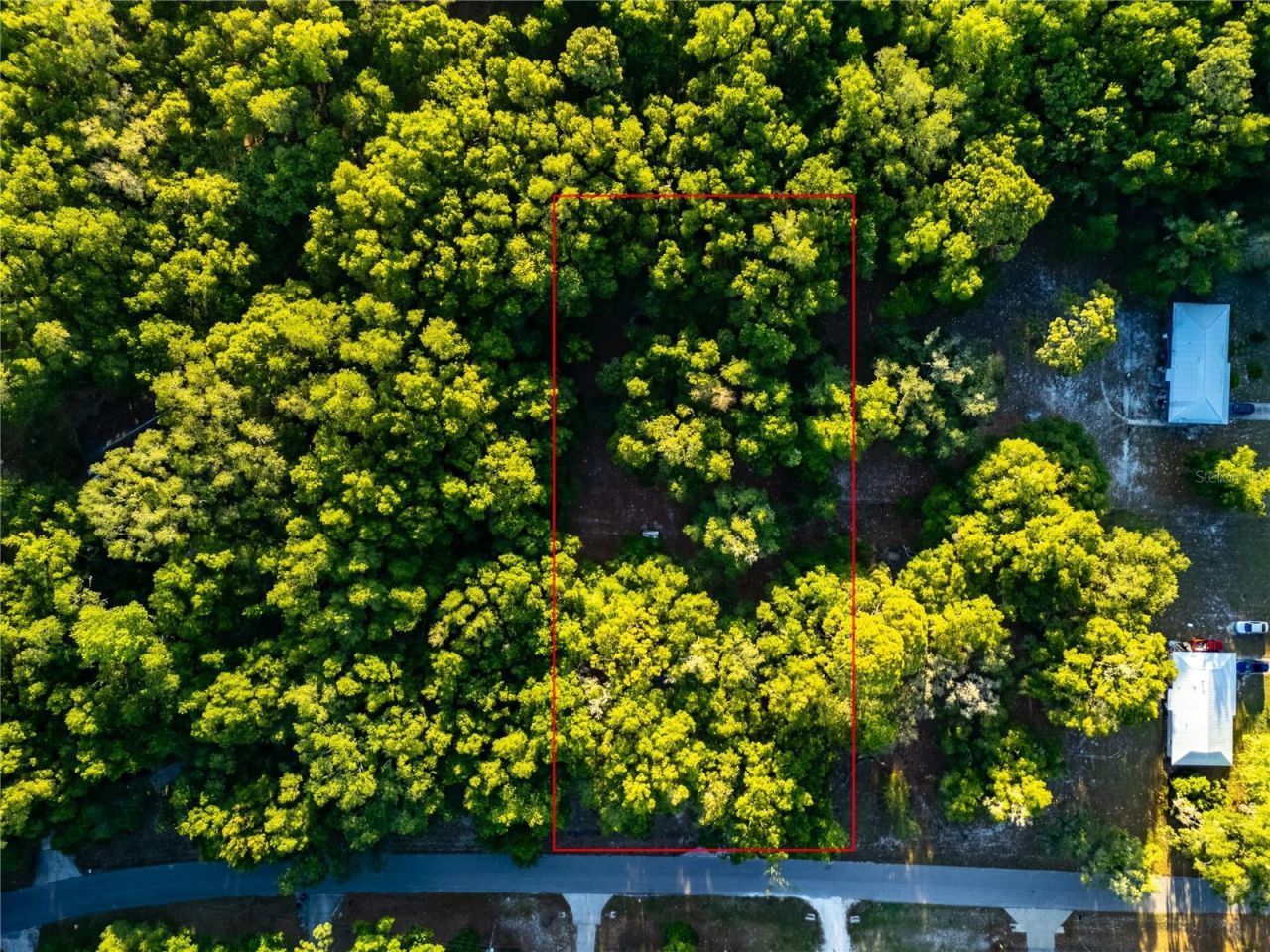 2731 NE 165th Terrace , Williston, FL 32696 Photo