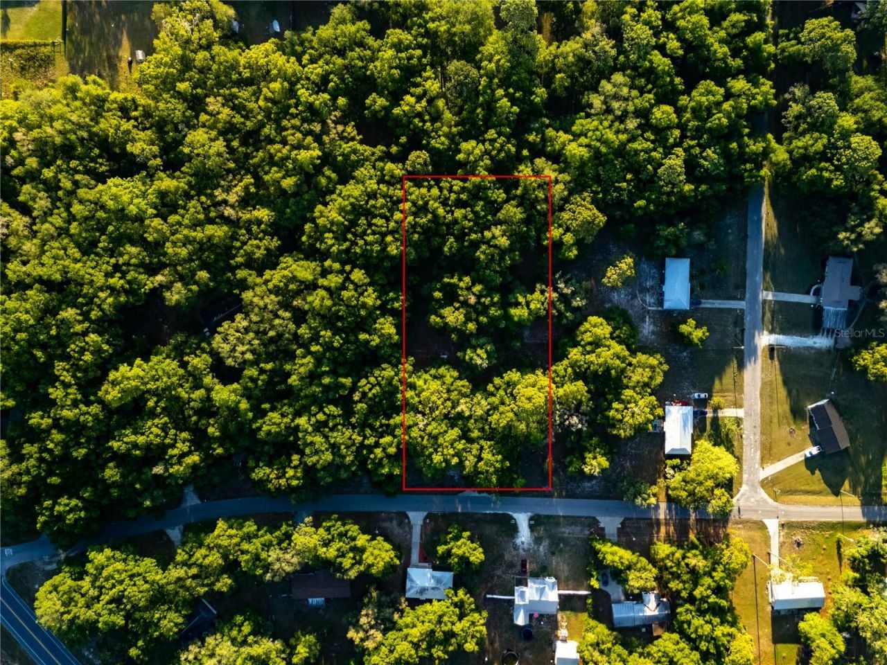 2731 NE 165th Terrace , Williston, FL 32696 Photo