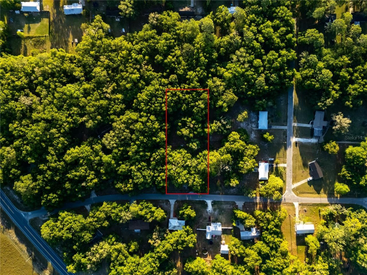 2731 NE 165th Terrace , Williston, FL 32696 Photo