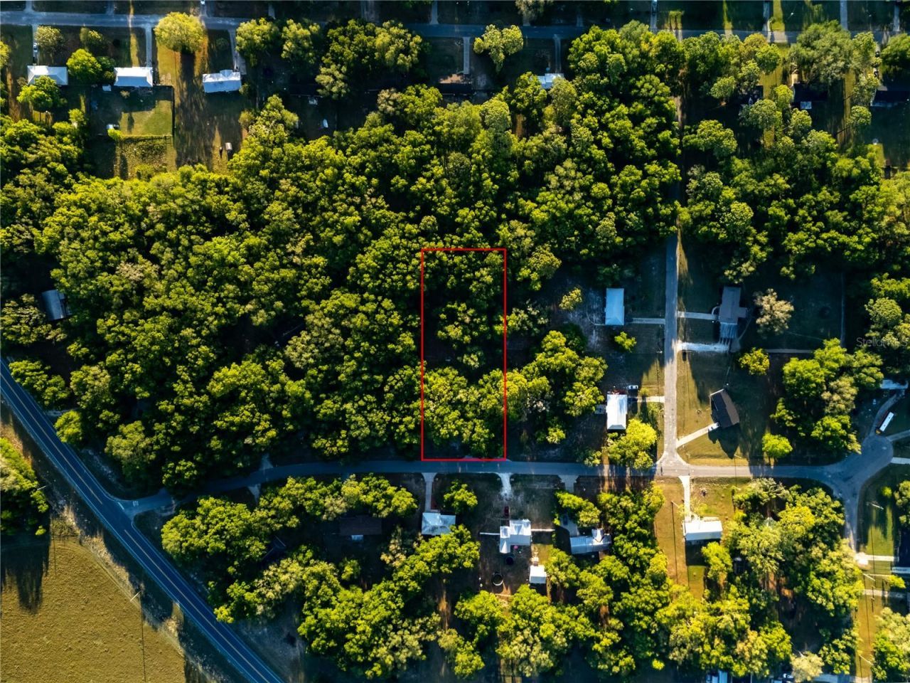 2731 NE 165th Terrace , Williston, FL 32696 Photo