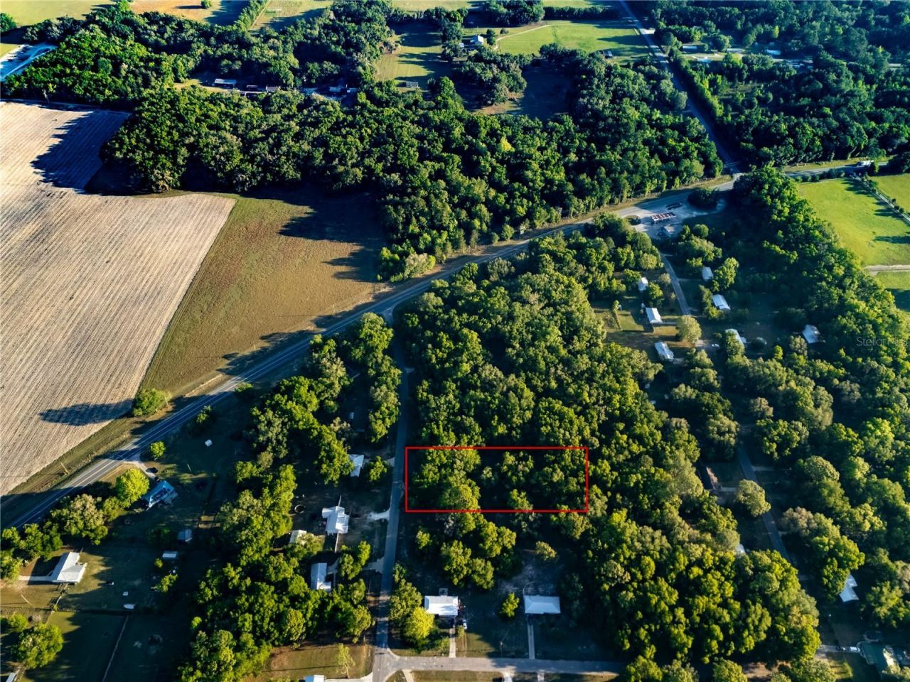 2731 NE 165th Terrace , Williston, FL 32696 Photo