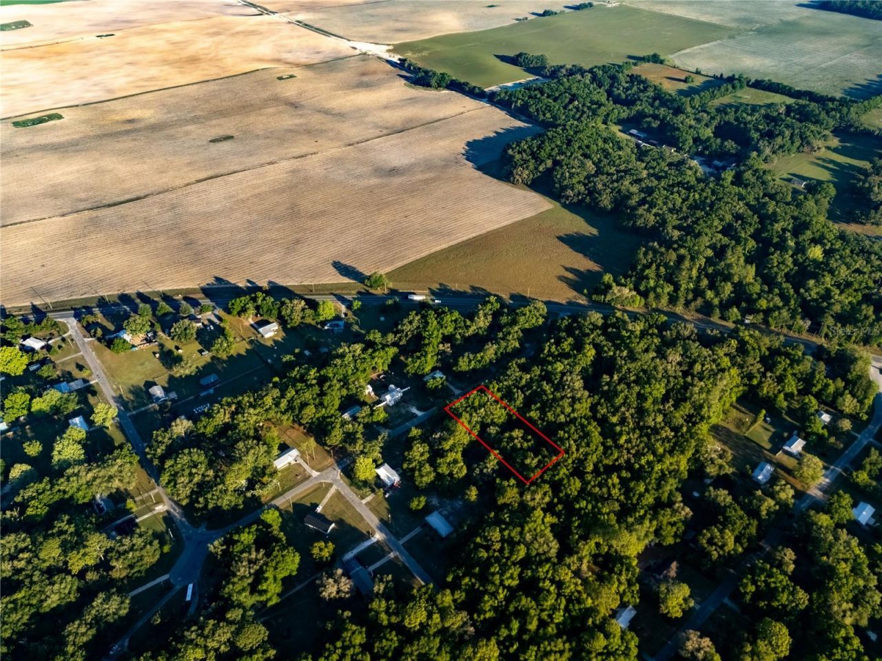 2731 NE 165th Terrace , Williston, FL 32696 Photo