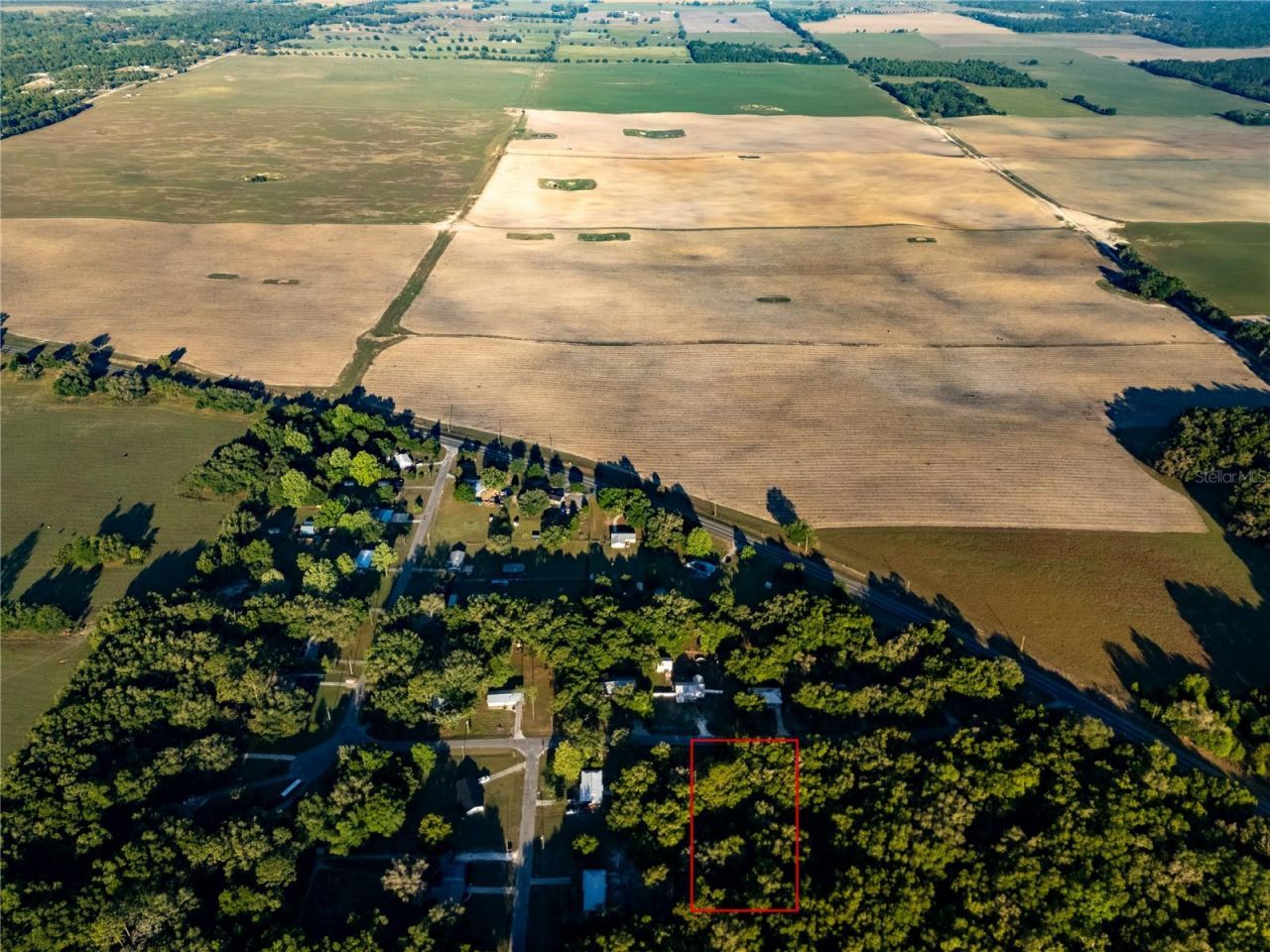 2731 NE 165th Terrace , Williston, FL 32696 Photo