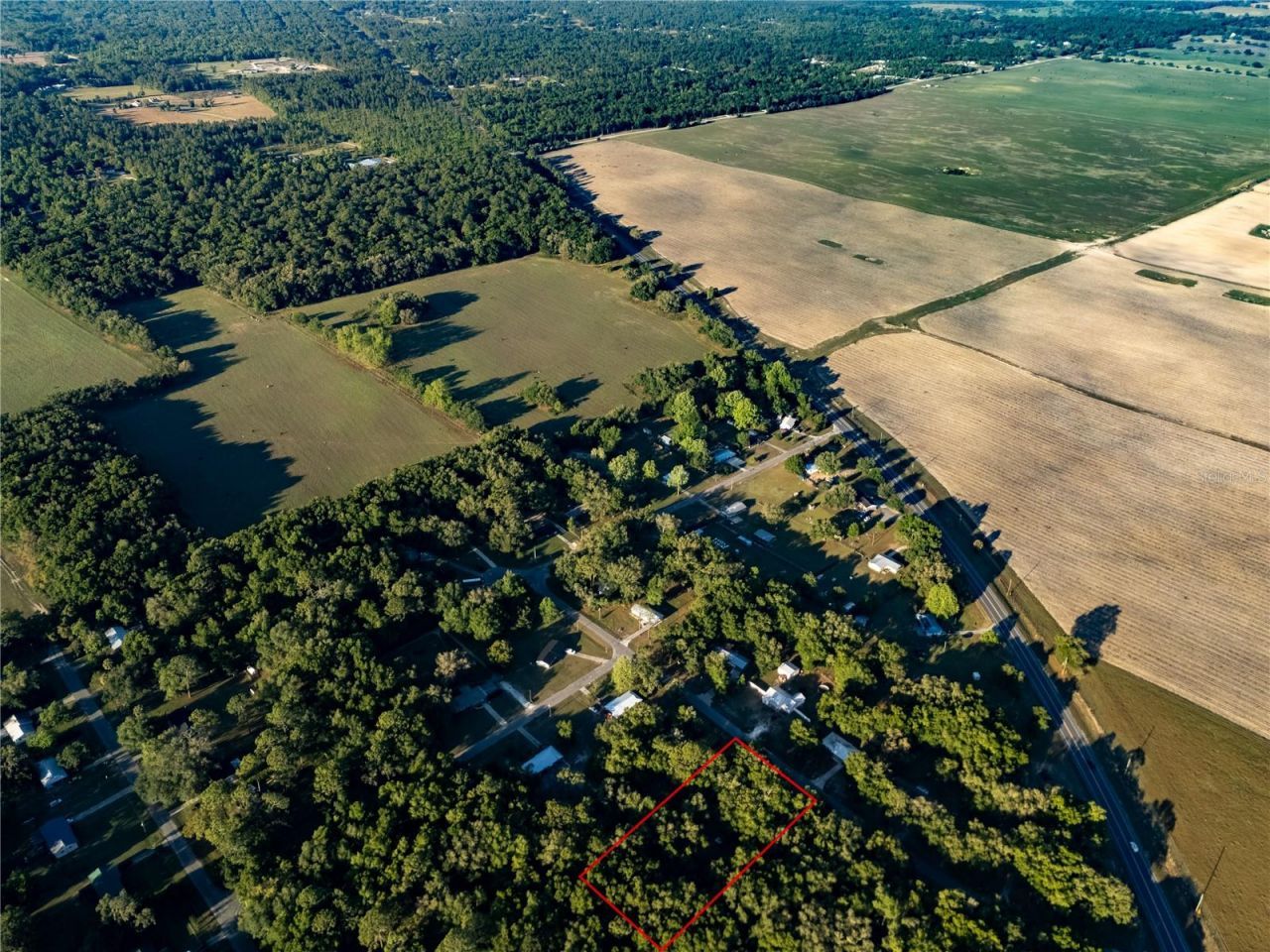 2731 NE 165th Terrace , Williston, FL 32696 Photo