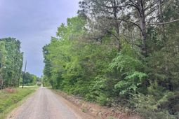 0 Sumpter Road  photo 4