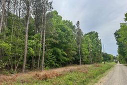 0 Sumpter Road  photo 4