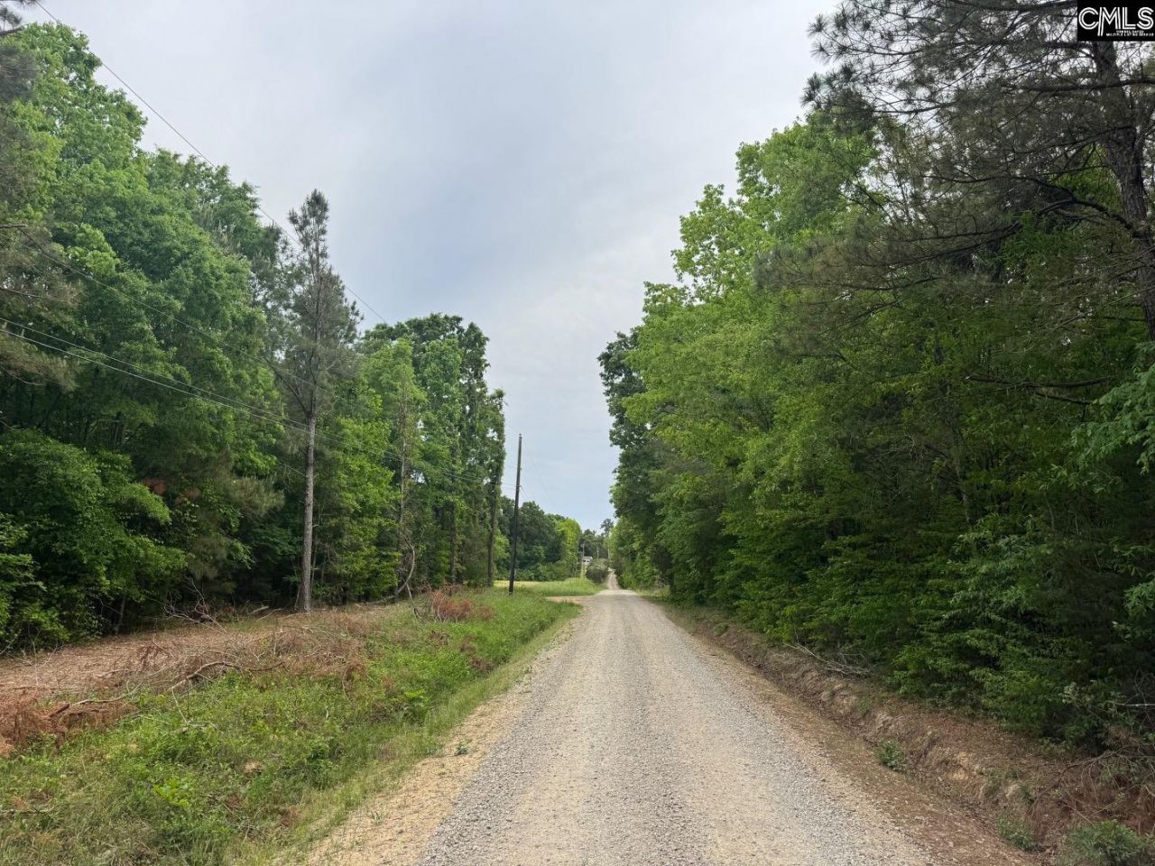 0 Sumpter Road  Photo 4