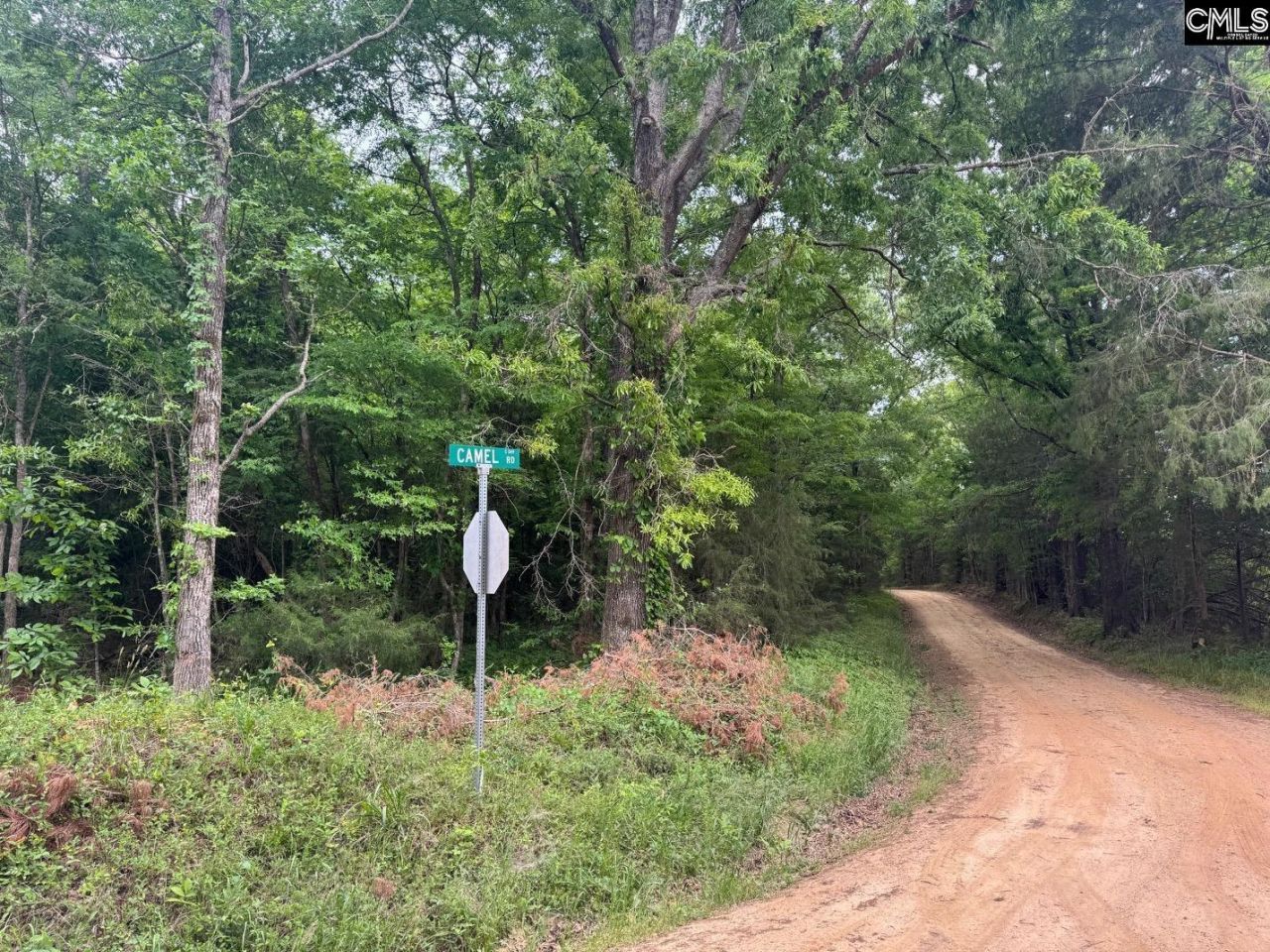 0 Sumpter Road  Photo 5