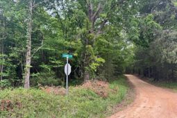 0 Sumpter Road  photo 4