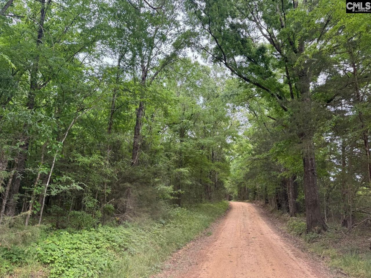 0 Sumpter Road  Photo 6