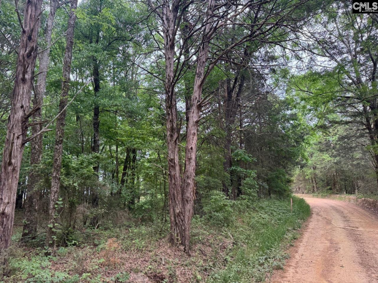 0 Sumpter Road  Photo 7