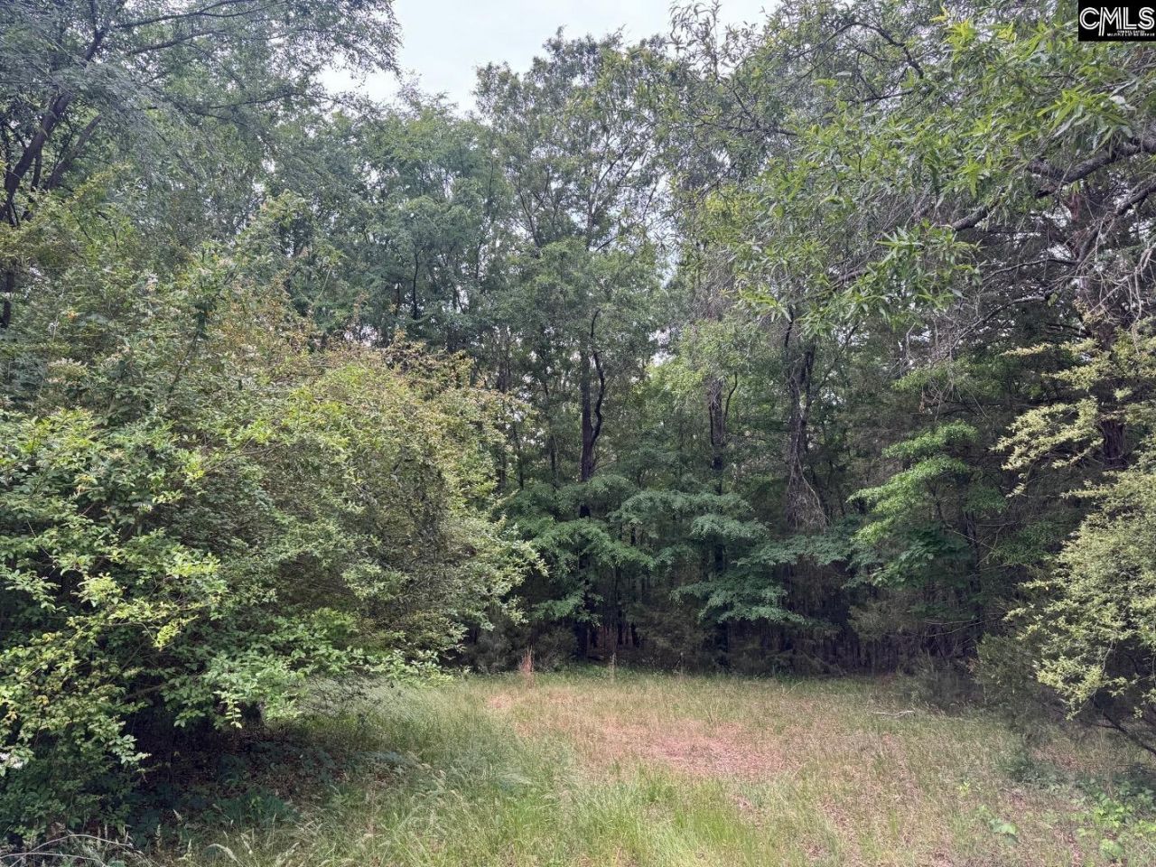 0 Sumpter Road  Photo 8