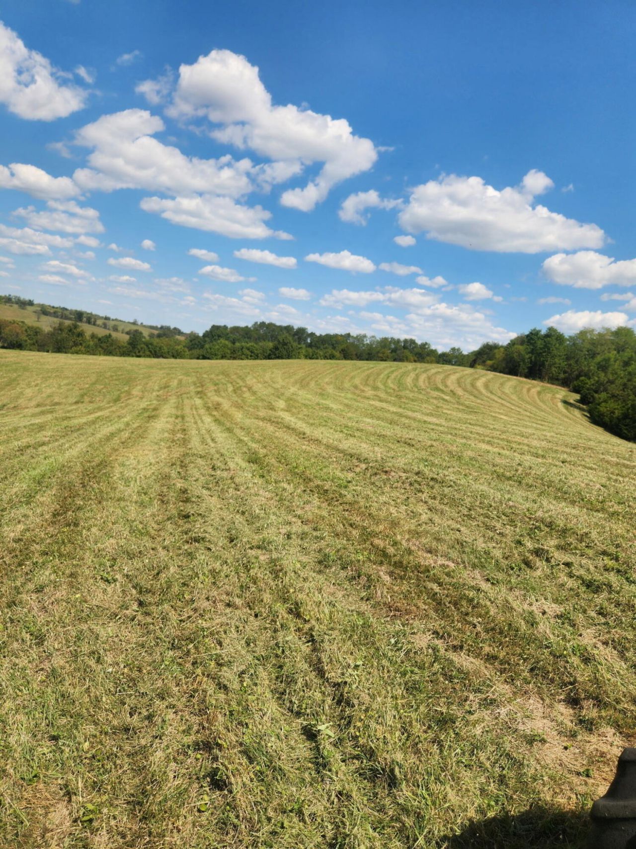 Lot 2b Rock Ridge Road, Paris, KY 40361 Main Photo