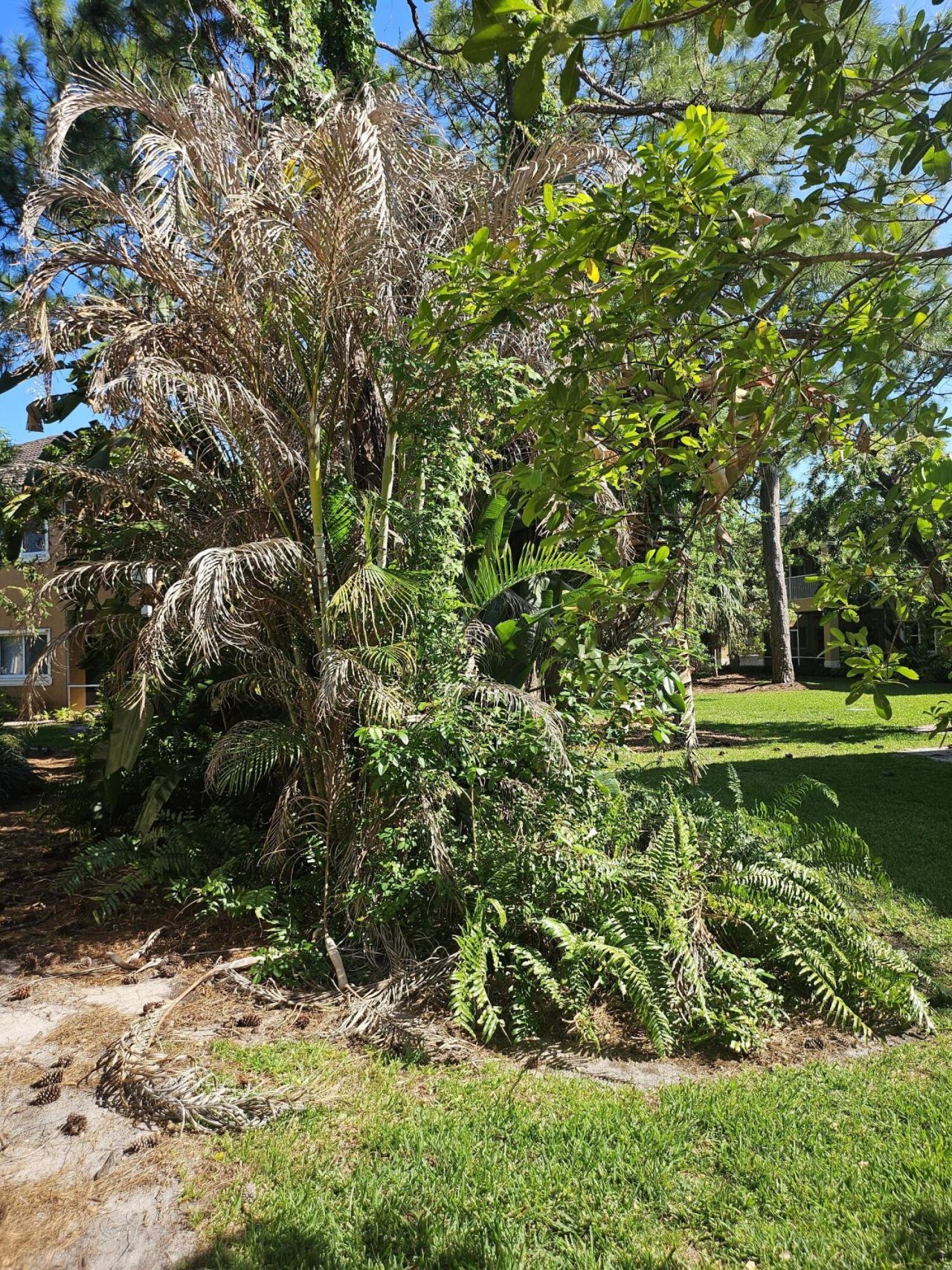 8227 Mulligan Circle, Unit A, Port Saint Lucie, FL 34986 Photo