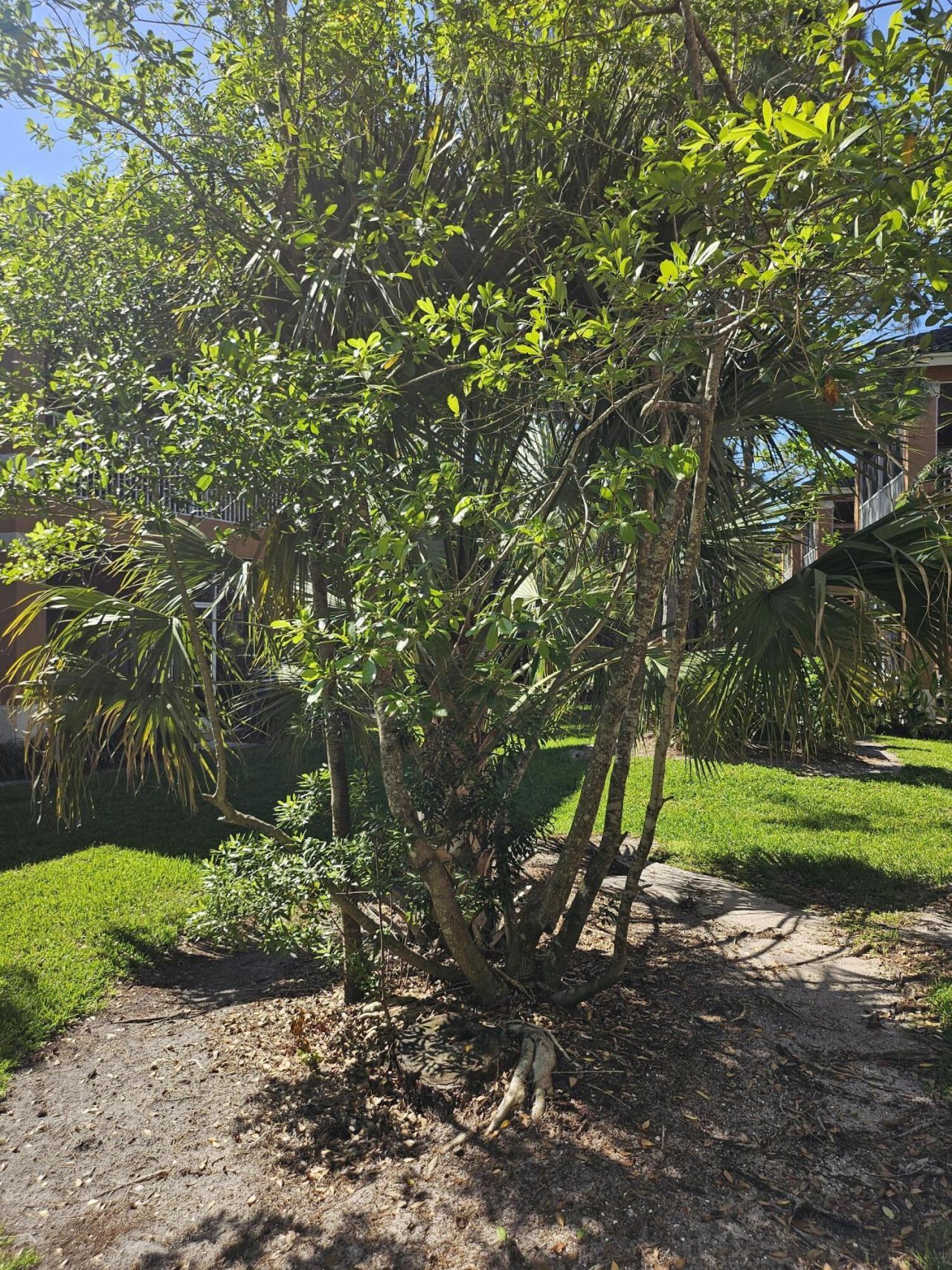 8227 Mulligan Circle, Unit A, Port Saint Lucie, FL 34986 Photo