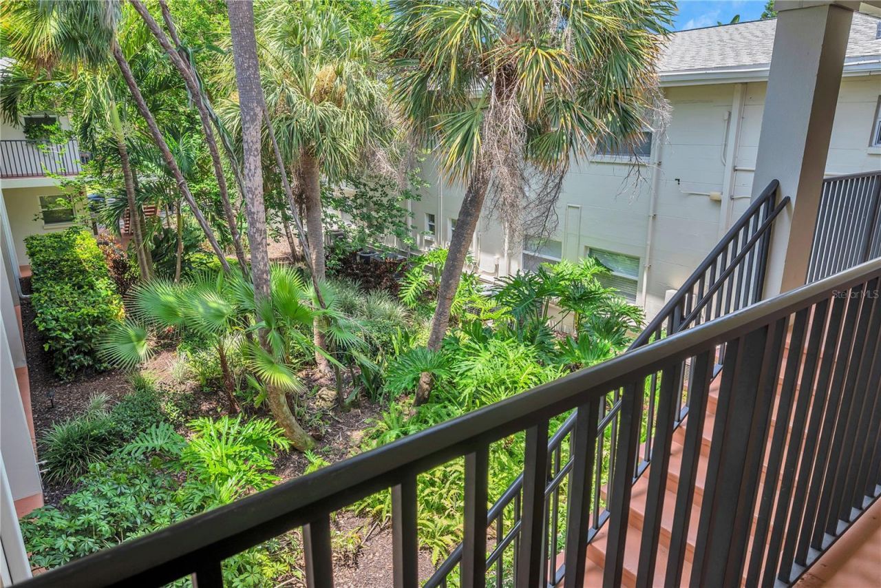 224 6th Avenue N, Unit 13, Saint Petersburg, FL 33701 Photo