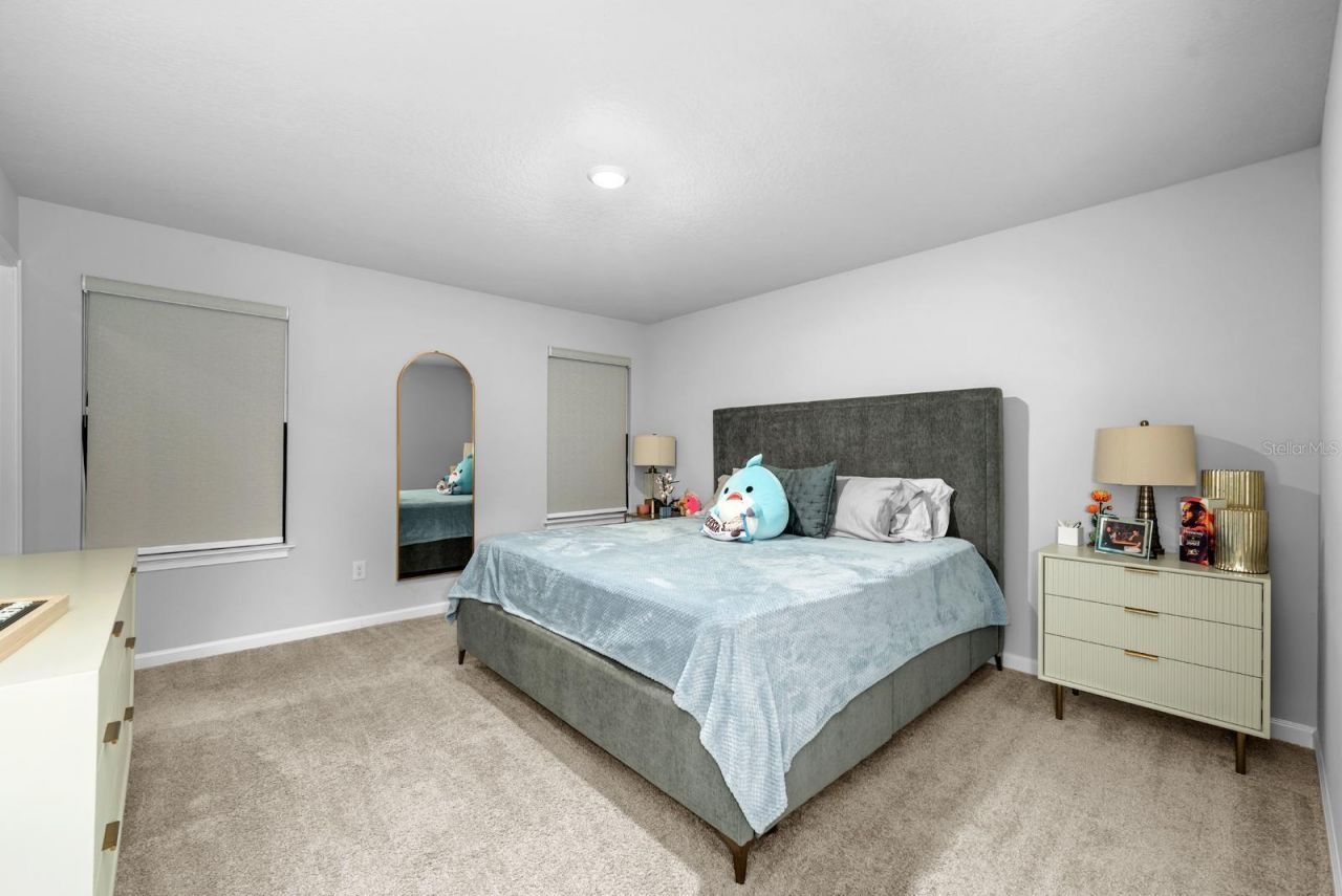 4236 Cloud Hopper Way, Lutz, FL 33559 Photo