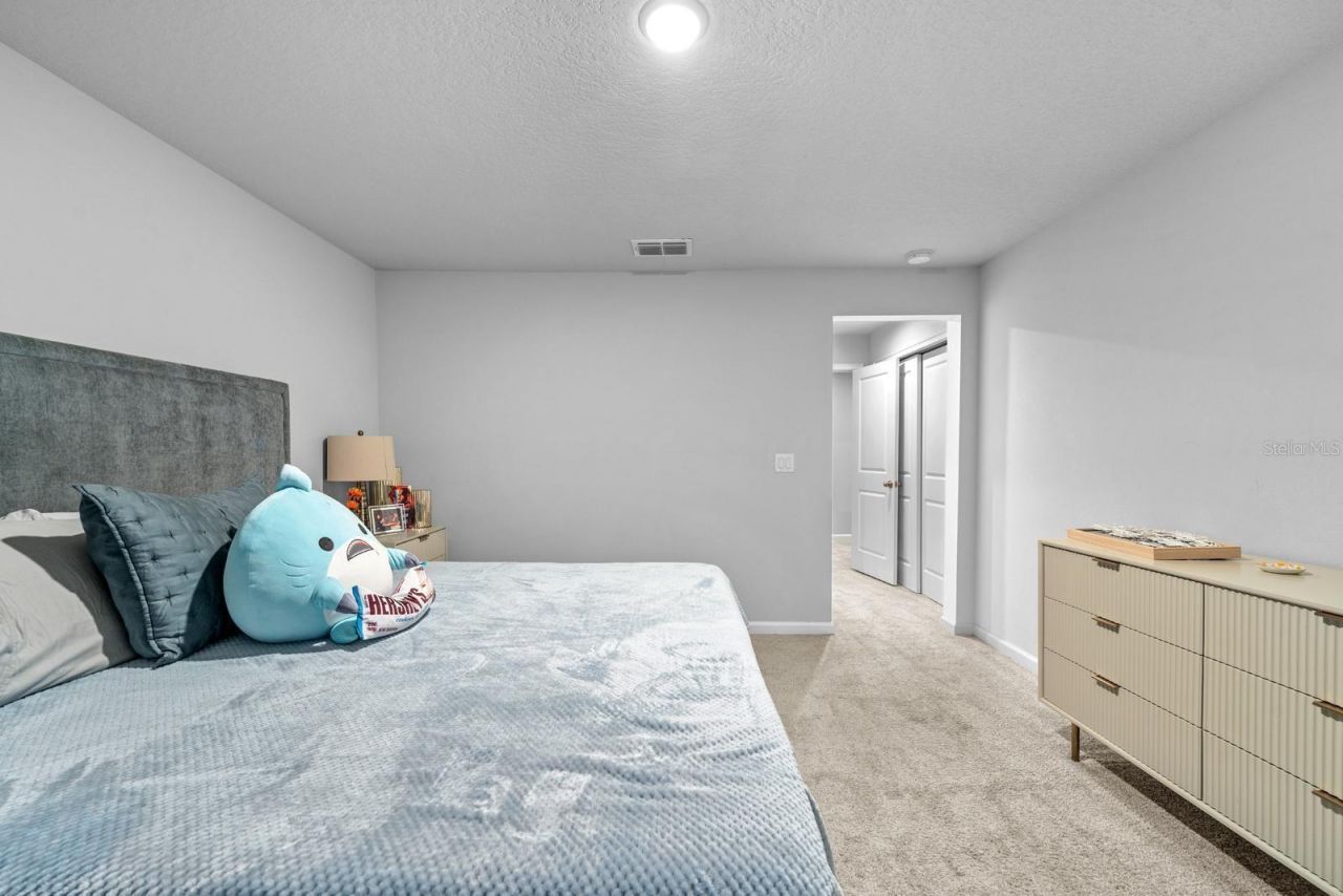 4236 Cloud Hopper Way, Lutz, FL 33559 Photo