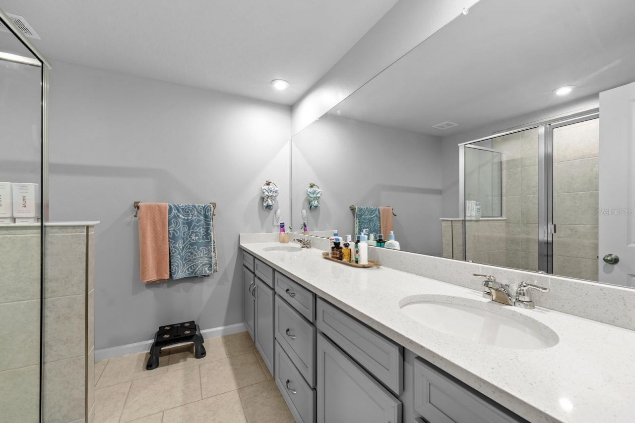 4236 Cloud Hopper Way, Lutz, FL 33559 Photo