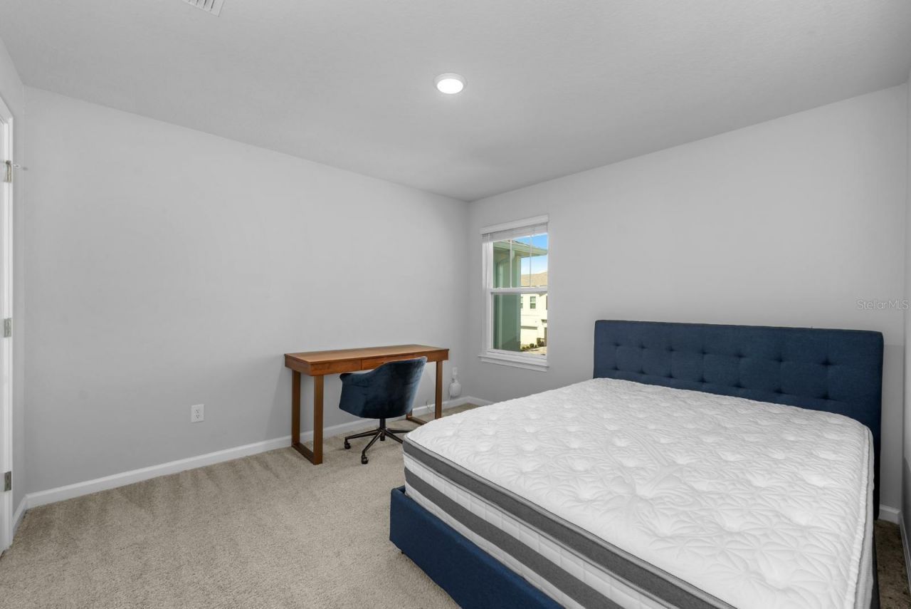 4236 Cloud Hopper Way, Lutz, FL 33559 Photo