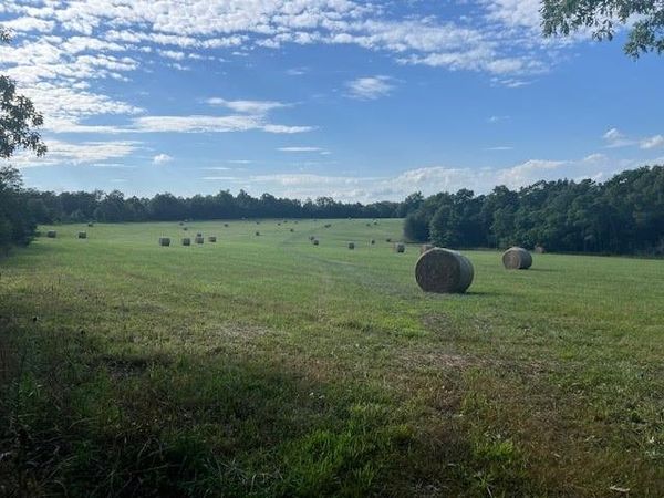 1550 TBD County Road , Compton, AR 72624