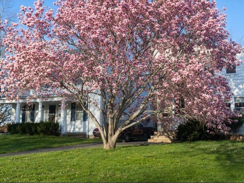 108 N Stanwood Road, Bexley, OH 43209 Photo 53