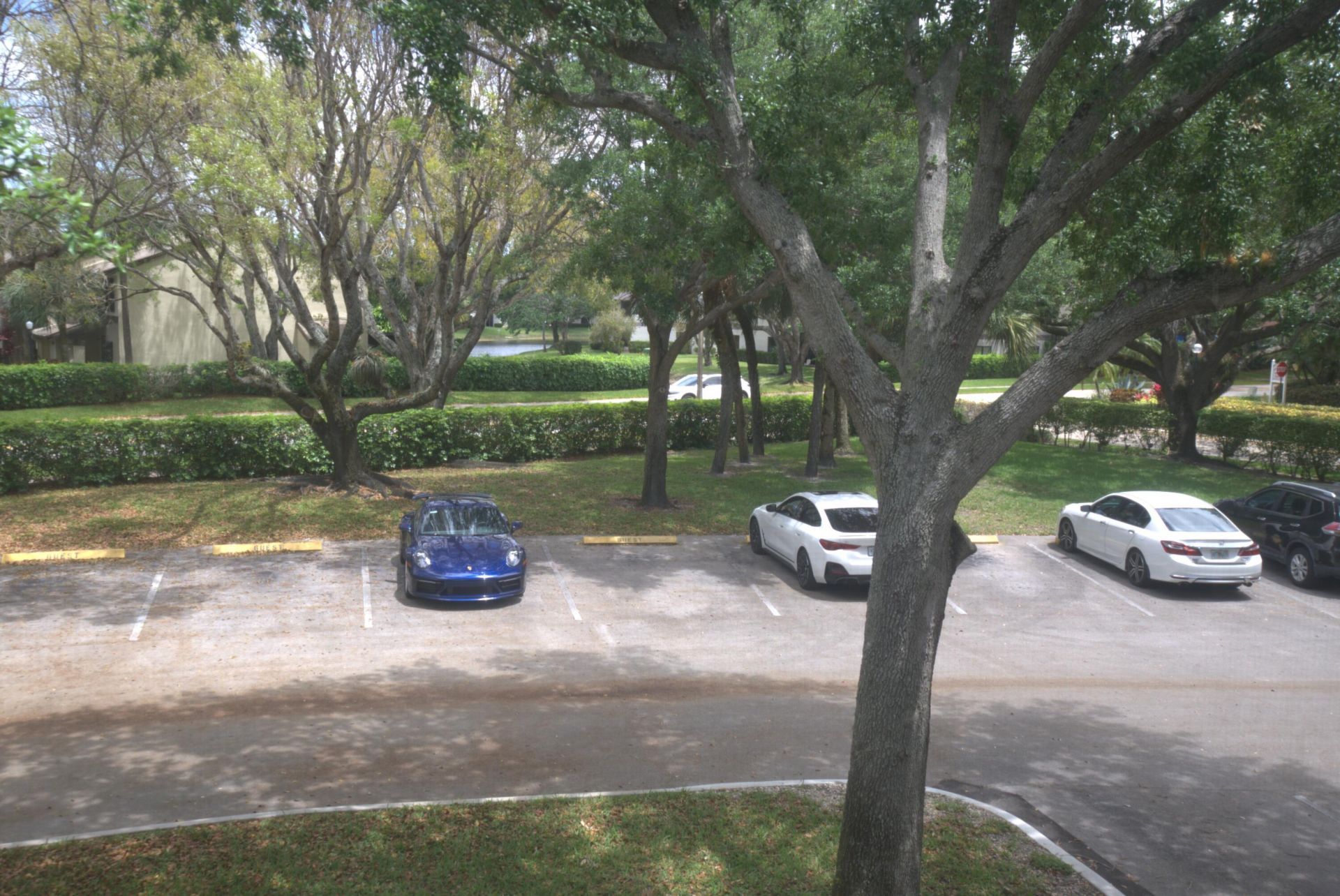 2956 S Carambola Cir Circle S, Unit 2031, Coconut Creek, FL 33066 Photo