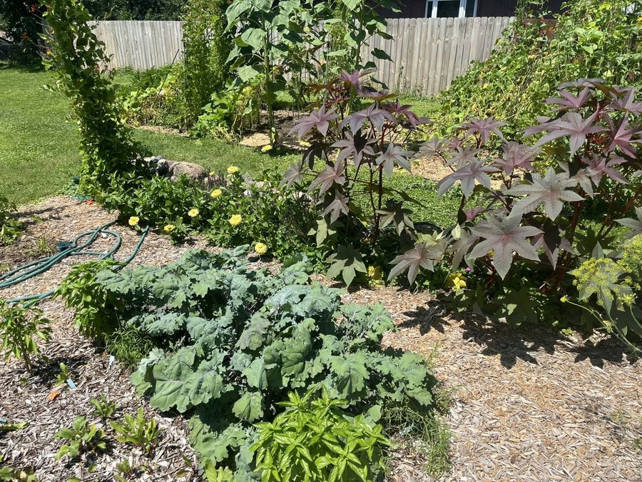 Property Image 34
