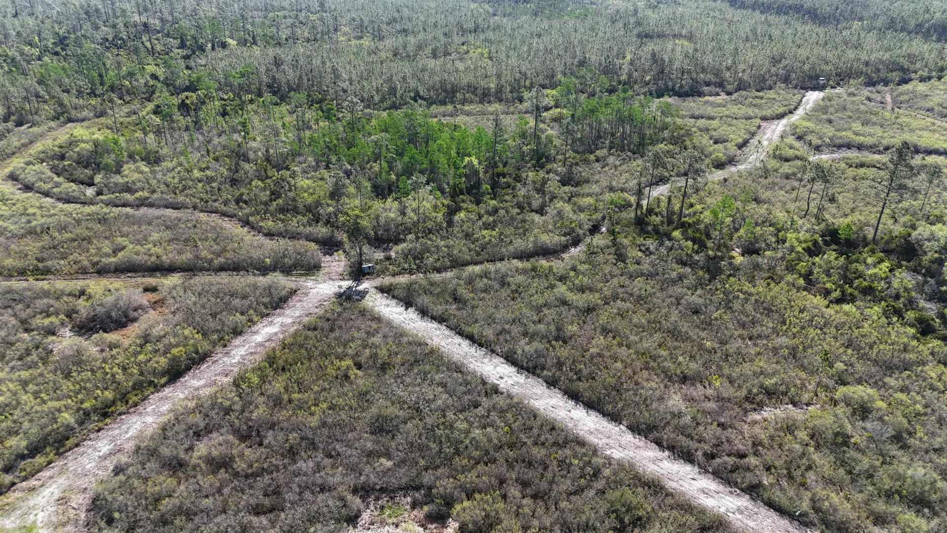 0000 Madison Main Line Road , Greenville, FL 32331 Photo