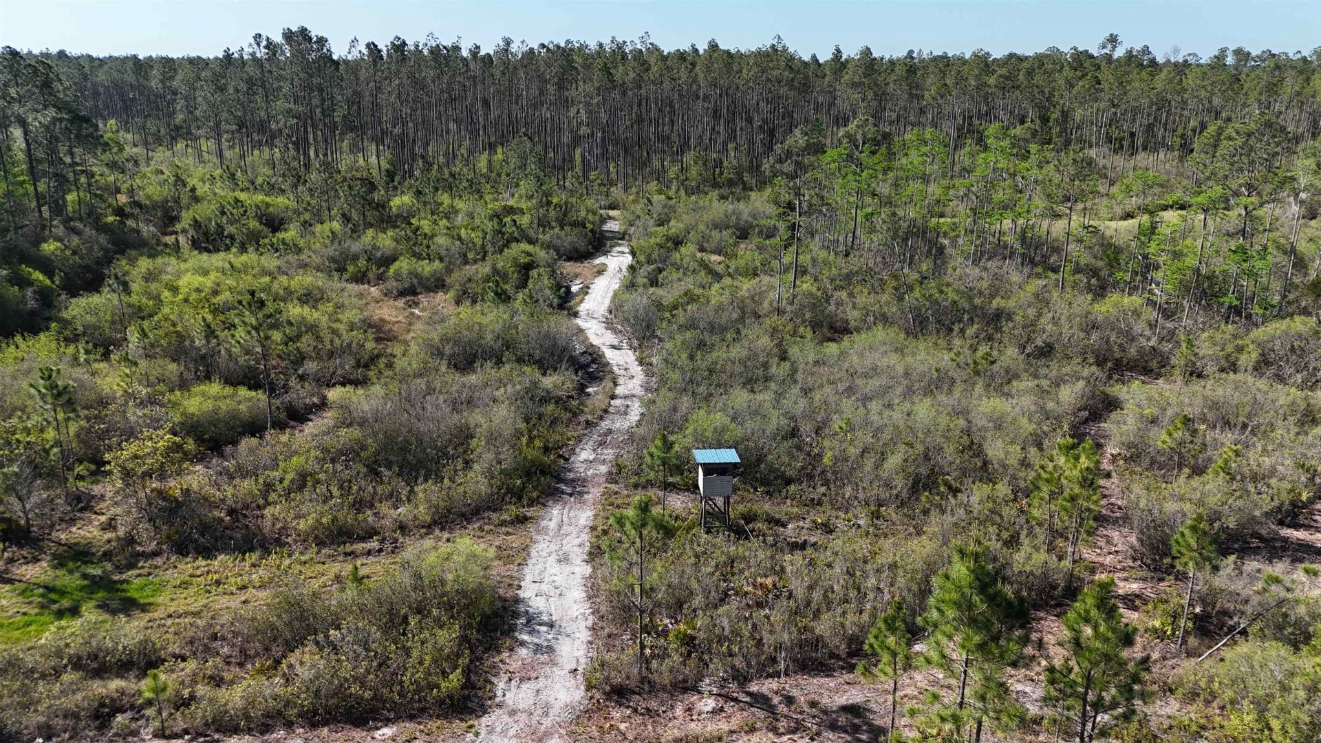 0000 Madison Main Line Road , Greenville, FL 32331 Photo