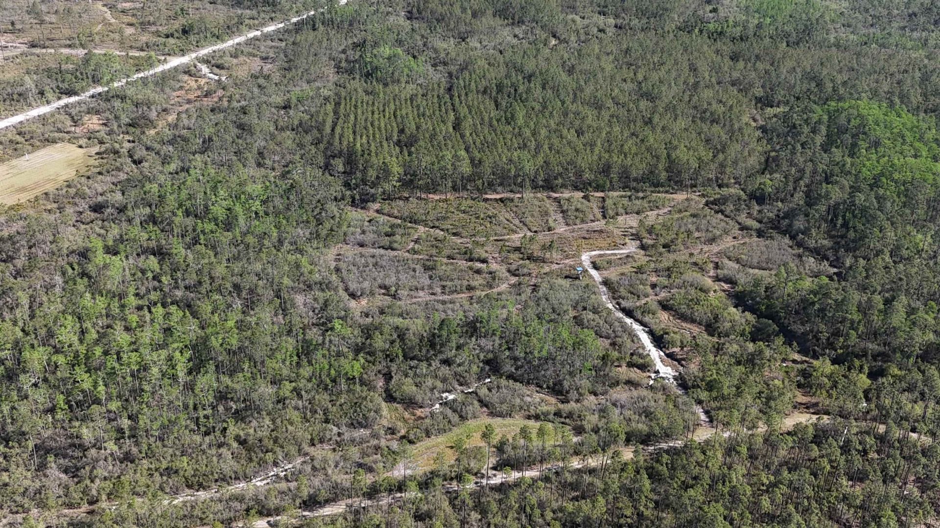 0000 Madison Main Line Road , Greenville, FL 32331 Photo