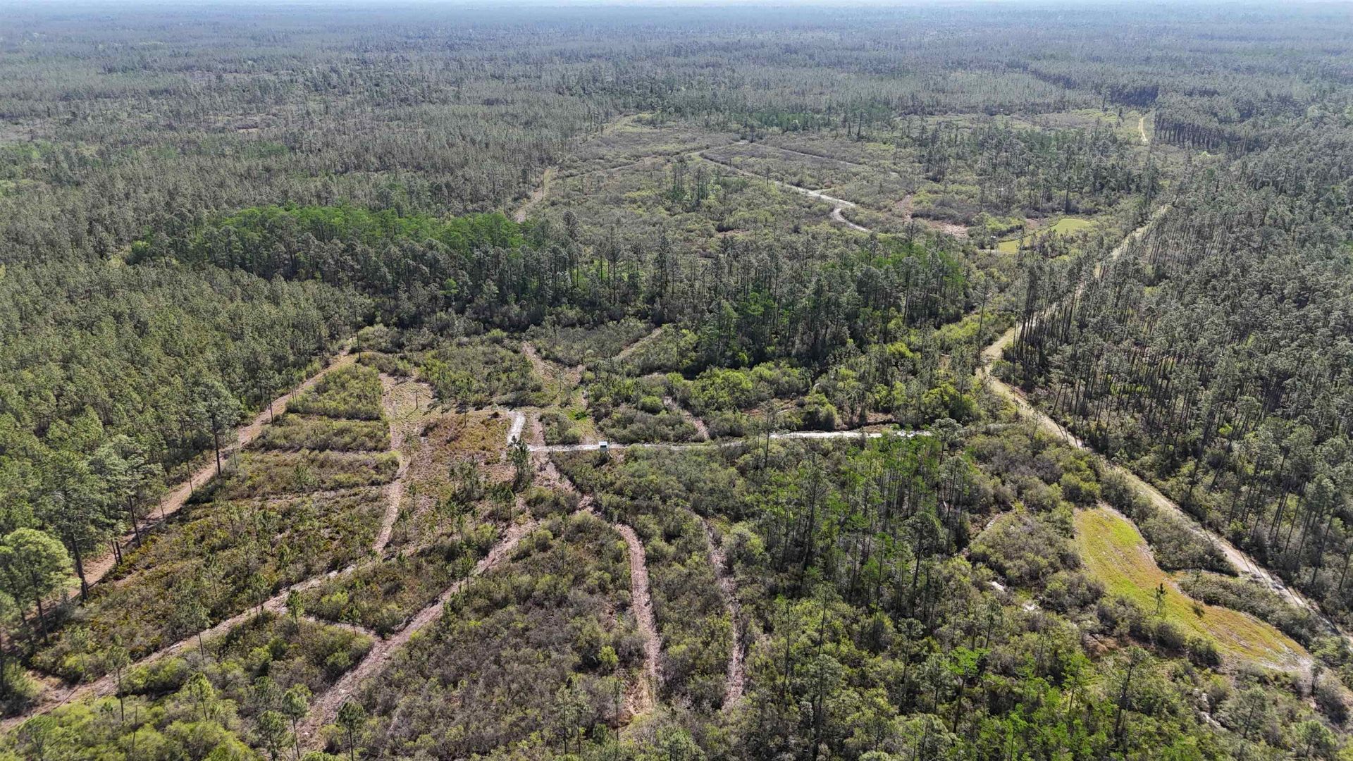 0000 Madison Main Line Road , Greenville, FL 32331 Photo